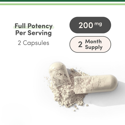 MoreLife Nattokinase Capsules
